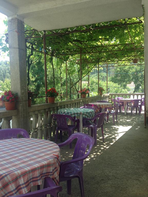 Aleksic
