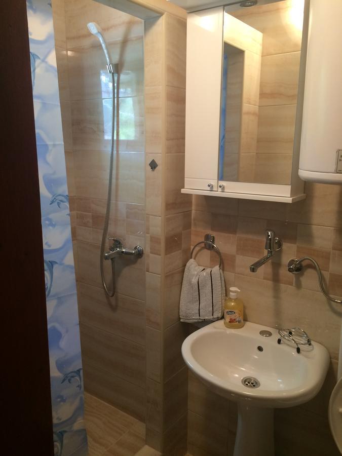 Aleksic Apartment