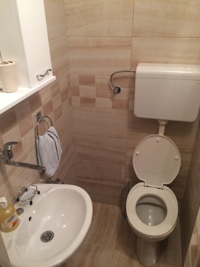 Apartment Aleksic *