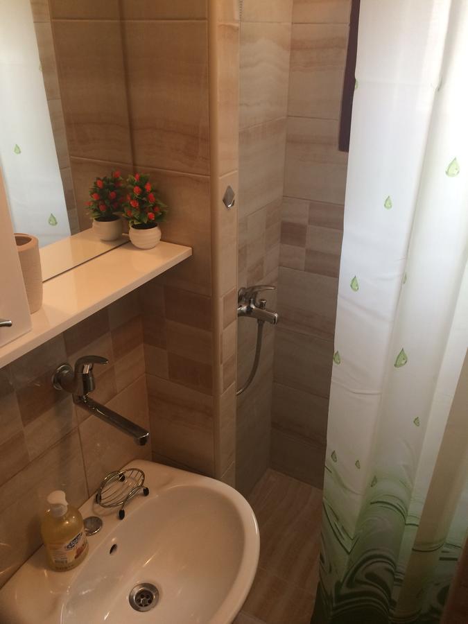 Apartment Aleksic